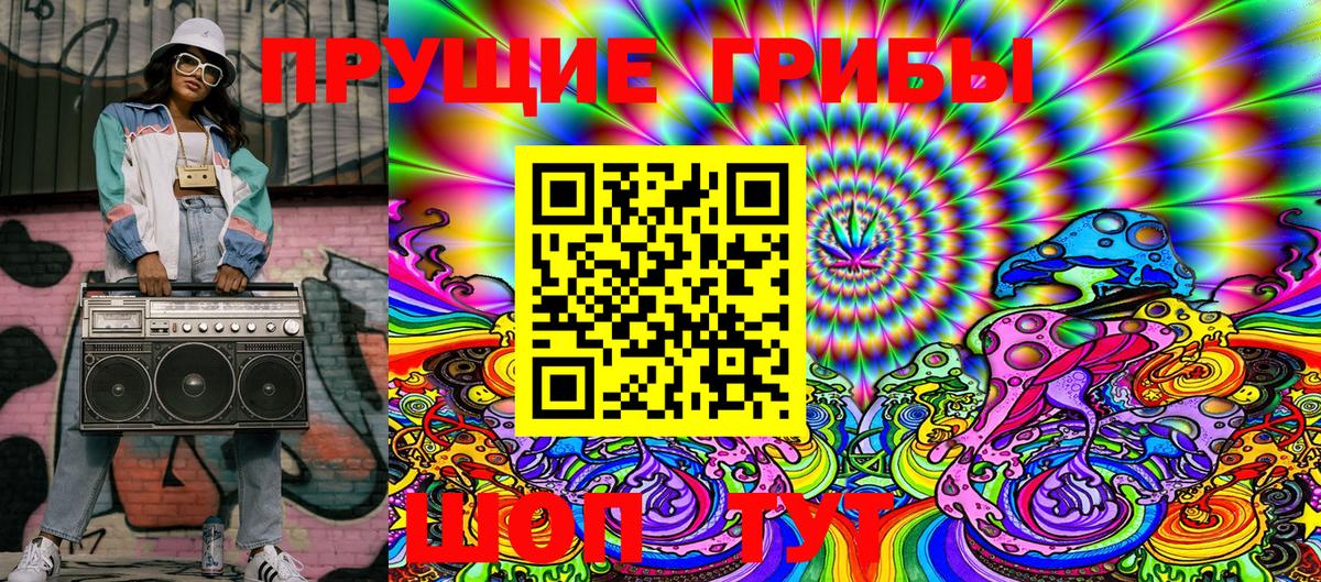 Отрадное  Псилоцибиновые грибы Psilocybe  Вход с VPN 